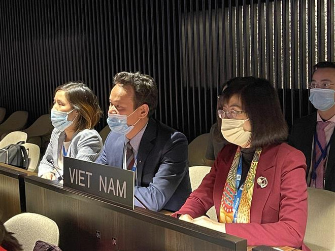 Việt Nam lần thứ 5 trúng cử thành viên Hội đồng Chấp hành UNESCO ảnh 1