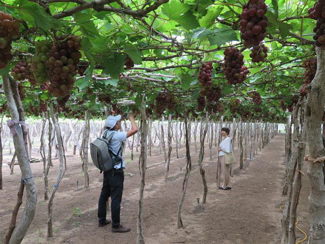 Đưa du lịch ASEAN thoát khỏi vòng xoáy của đại dịch COVID-19 ảnh 2