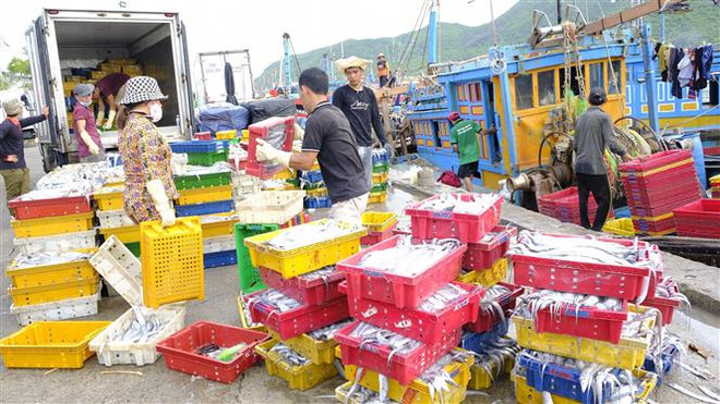 Khắc phục "thẻ vàng" IUU: Phát hiện, xử lý kịp thời hành vi vi phạm ảnh 1