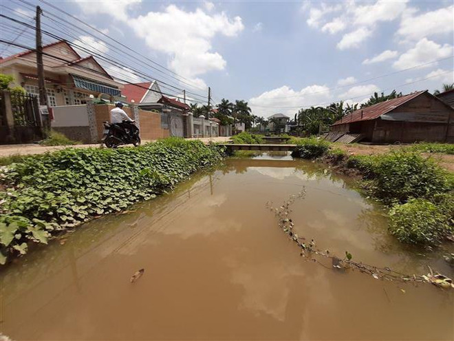Người phụ nữ Đồng Xoài tự nguyện hiến đất để hồi sinh con suối “chết” ảnh 2