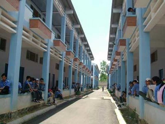 Bình Phước nỗ lực ổn định cuộc sống cho dân từ Campuchia trở về ảnh 1