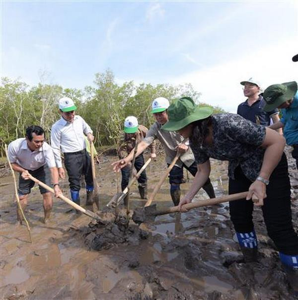 Tỉnh Bạc Liêu phát động ra quân trồng rừng phòng hộ ven biển ảnh 1