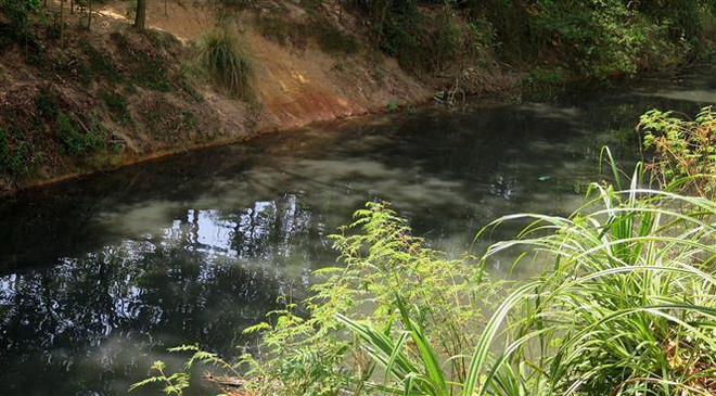 Tuyến kênh chuyển sang màu đen quánh như luynh. (Ảnh: Phước Ngọc/TTXVN) Quảng Ngãi: Dân đổ đất lấp kênh phản đối khu công nghiệp xả thải ảnh 3