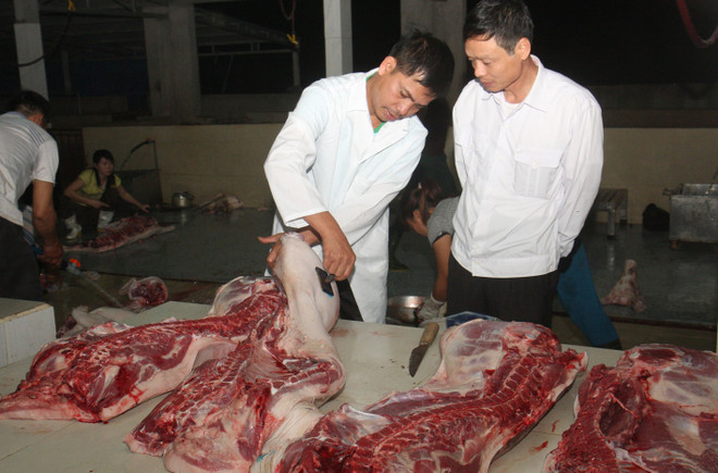 WHO cam kết sát cánh với Việt Nam bảo đảm an toàn thực phẩm ảnh 1