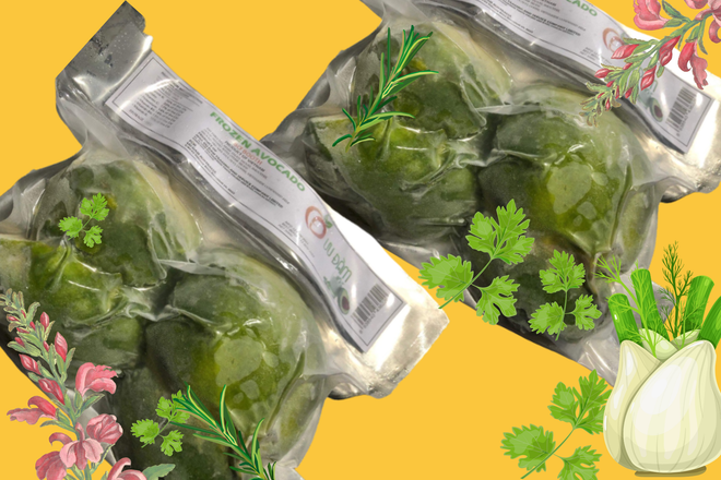 Quả bơ Việt Nam chính thức đổ bộ vào thị trường Australia ảnh 1