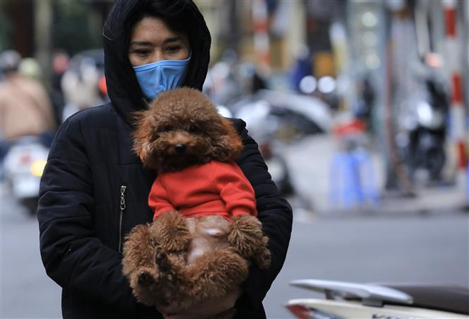 Không khí lạnh gây mưa rét trên đất liền, nhiều vùng biển nguy hiểm ảnh 1