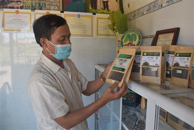 ECOWAS cấm vận kinh tế với Mali và các lưu ý với doanh nghiệp Việt ảnh 1