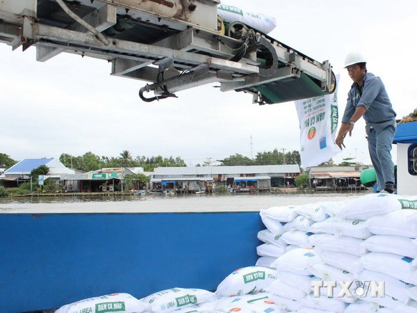 Công văn trùng số tại Cục Trồng trọt: Có dấu hiệu làm giả giấy tờ? ảnh 3