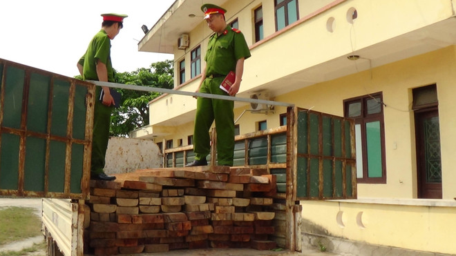 Công an Lâm Đồng bắt xe vận chuyển khoảng 4m3 gỗ trái phép ảnh 1