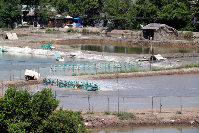 Hơn 1.000 tỷ đồng giúp nông dân thích ứng với biến đổi khí hậu ảnh 1