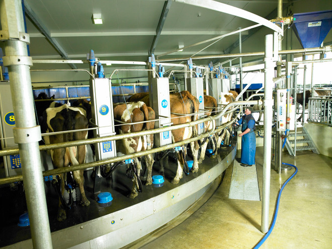 Tập đoàn sữa Fonterra mở rộng đầu tư tại Trung Quốc ảnh 1