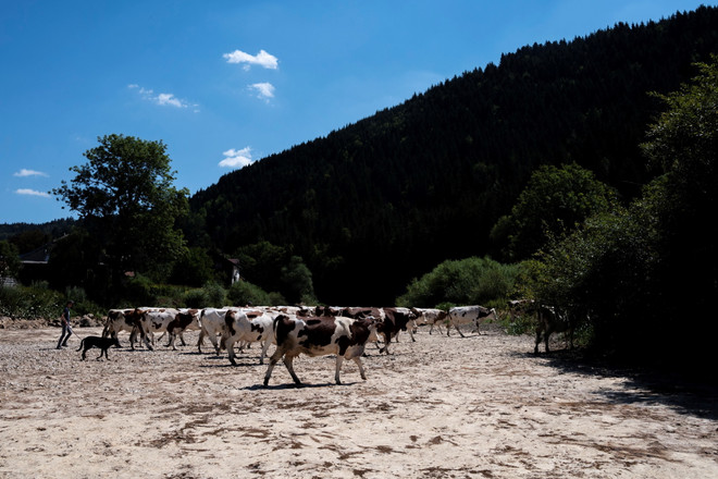Mất mùa do hạn hán ở châu Âu tăng gấp 3 lần trong 50 năm qua ảnh 1
