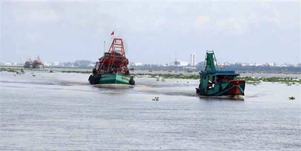 Kiên Giang: Tăng trưởng kinh tế cao, nhiều chỉ tiêu vượt kế hoạch ảnh 2