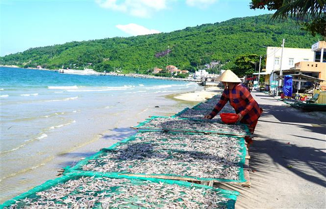 Kiên Giang: Tăng trưởng kinh tế cao, nhiều chỉ tiêu vượt kế hoạch ảnh 1