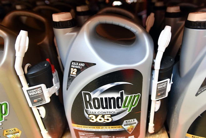 Công ty mẹ của Monsanto khẳng định thuốc diệt cỏ Roundup an toàn ảnh 1