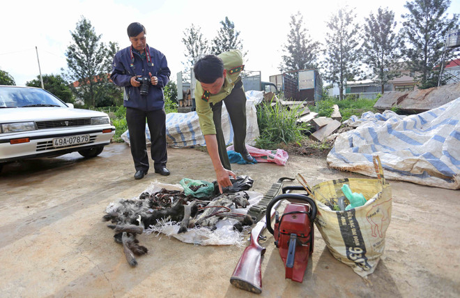 Lâm Đồng sẽ đề nghị khởi tố vụ sát hại voọc chà vá chân đen ảnh 1