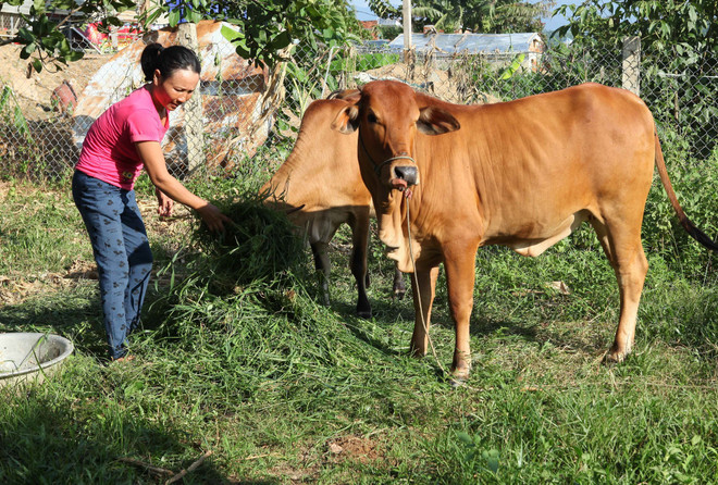 Quy định mới về chuẩn hộ nghèo trong giai đoạn 2016-2020 ảnh 1