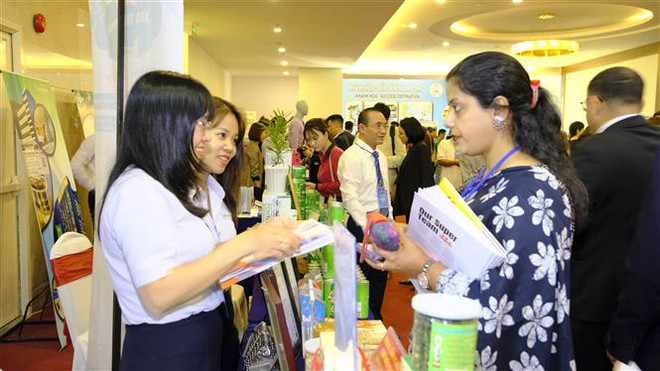 Các tỉnh Nam Trung Bộ và Ấn Độ xúc tiến hợp tác trong nhiều lĩnh vực ảnh 2