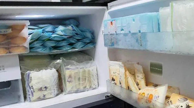 Phụ nữ Malaysia ở Singapore gửi 7 tấn sữa mẹ đông lạnh về quê nuôi con ảnh 1