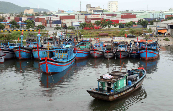 Hải Phòng sẵn sàng về lực lượng, vật tư, phương tiện ứng phó bão ảnh 1