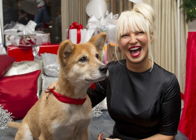 Sia - Cô ca sỹ giấu gương mặt sau mái tóc bạch kim ảnh 4