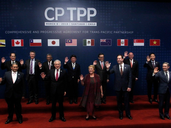 Các nhà đàm phán CPTPP thảo luận về cấu trúc trong tương lai ảnh 1