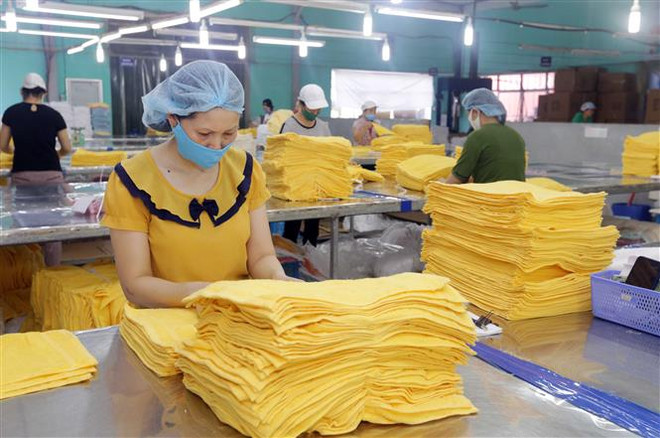 Chuyên gia WB: Việt Nam có thể là nước hưởng lợi nhiều nhất từ RCEP ảnh 1