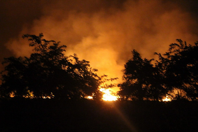 Nghệ An dập tắt vụ cháy rừng thông đang trong thời kỳ khai thác ảnh 1