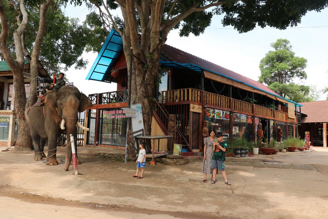 Hồ Lắk không chỉ có giá trị về thủy lợi, thủy sản mà còn có tiềm năng rất lớn về du lịch sinh thái, văn hóa. (Ảnh: Anh Dũng/TTXVN) ttxvn-ho lak1.jpg