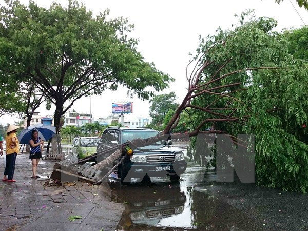 Tây Nguyên, Nam Bộ có khả năng xảy ra tố lốc và gió giật mạnh ảnh 1