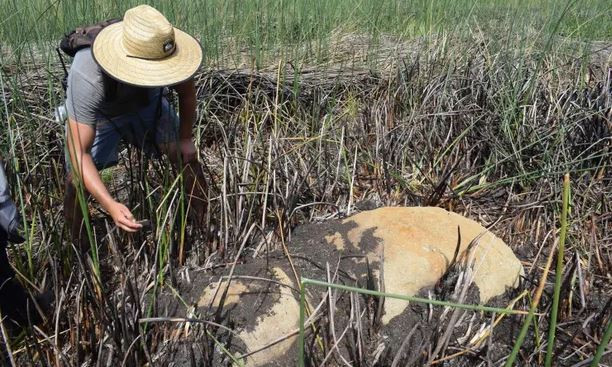 Phát hiện tượng đá Moai trong miệng núi lửa ở đảo Phục Sinh ảnh 1