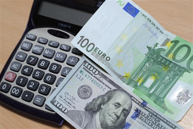 Tỷ giá euro so với USD lần đầu giảm xuống dưới 1 trong gần 20 năm ảnh 1