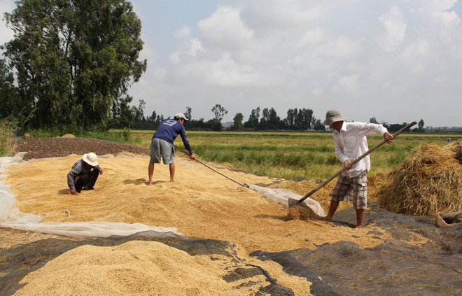 Bắc Bộ có nắng diện rộng, Trung và Nam Bộ đề phòng tố lốc ảnh 1