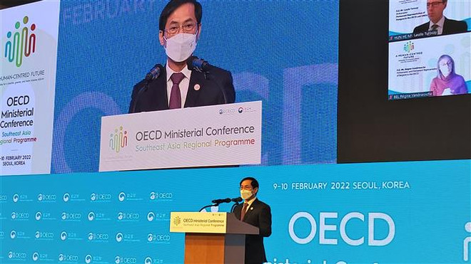 Việt Nam đảm nhận vai trò đồng Chủ tịch Chương trình SEARP của OECD ảnh 2