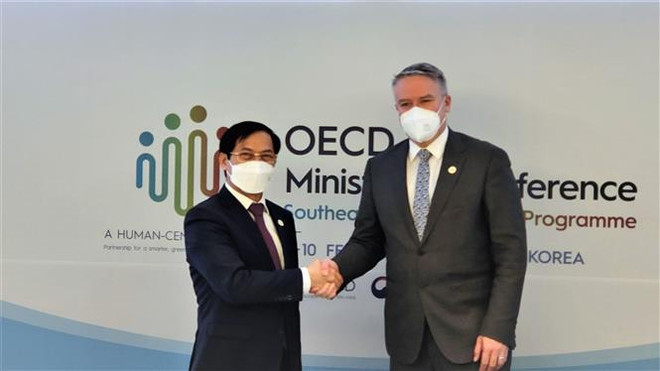 Việt Nam đảm nhận vai trò đồng Chủ tịch Chương trình SEARP của OECD ảnh 3