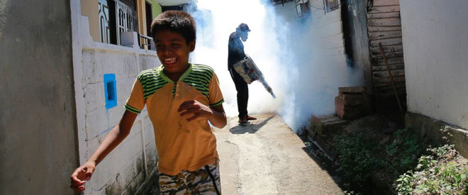 Sri Lanka tạm đóng cửa toàn bộ trường học vì dịch sốt xuất huyết ảnh 1