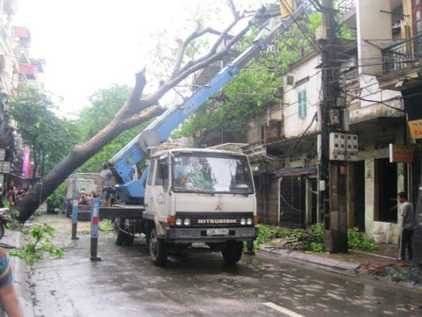 Hà Nội: Cây cổ thụ bật gốc đổ thẳng vào nhà dân ven đường ảnh 1