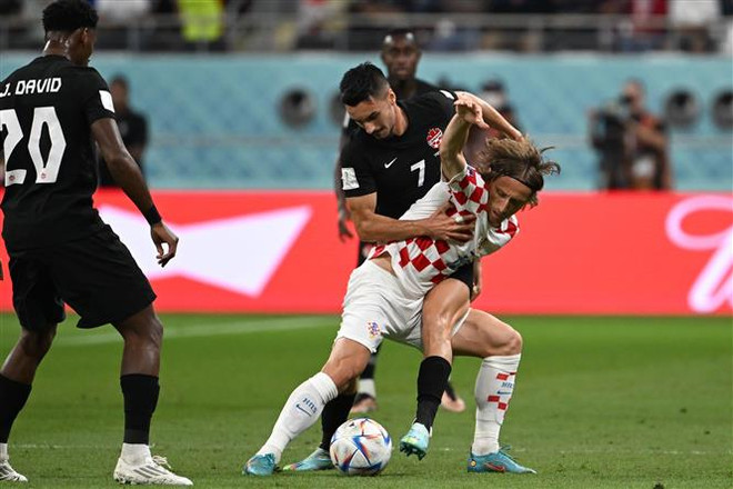 World Cup 2022: Bảng F - Cuộc chiến giữa “những ông già” Bỉ và Croatia ảnh 1