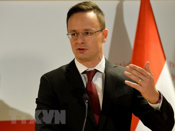 Ngoại trưởng Hungary, Bộ trưởng Tư pháp Đan Mạch nhiễm COVID-19 ảnh 1