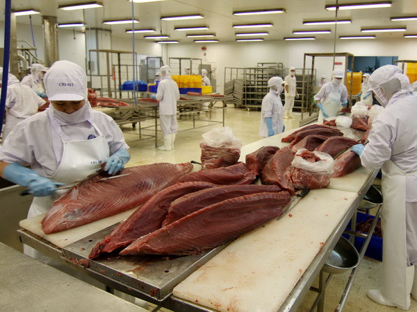 JICA giúp tăng năng lực kiểm soát an toàn thực phẩm nông thủy sản ảnh 1