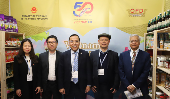 Chủ động thúc đẩy, làm sâu sắc hơn quan hệ đối tác chiến lược Việt-Anh ảnh 4