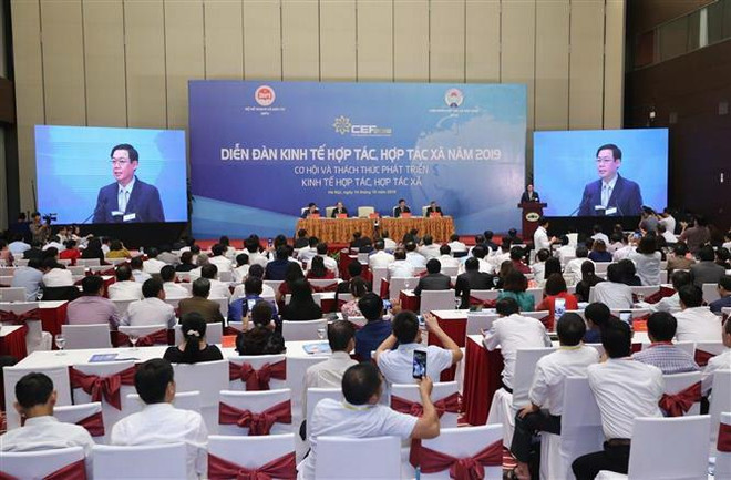 Phó Thủ tướng: Hợp tác xã luôn là nòng cốt trong kinh tế tập thể ảnh 1