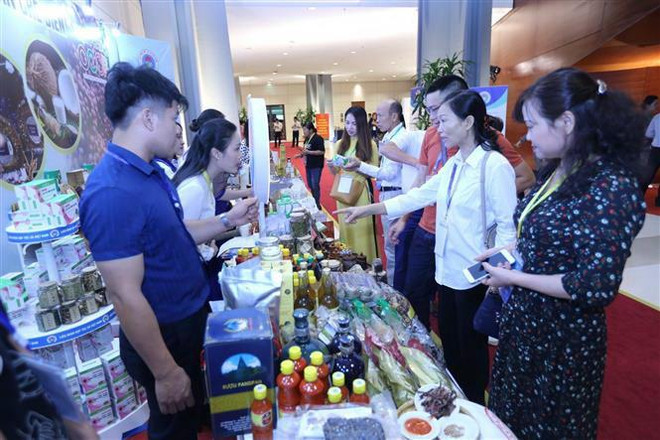 Phó Thủ tướng: Hợp tác xã luôn là nòng cốt trong kinh tế tập thể ảnh 4