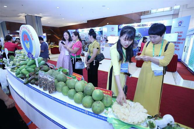 Phó Thủ tướng: Hợp tác xã luôn là nòng cốt trong kinh tế tập thể ảnh 3