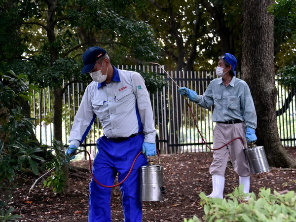 Nhật Bản: Hơn 130 người tại 17 tỉnh thành mắc sốt xuất huyết ảnh 1