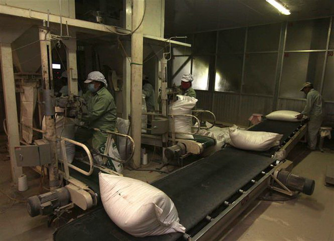 Gạo Việt Nam vững giá từ 480 USD một tấn trong tuần thứ hai liên tiếp ảnh 1