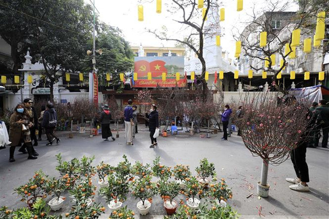 Khu vực Bắc Bộ rét đậm, Hà Tĩnh đến Quảng Ngãi có mưa và mưa rào ảnh 1