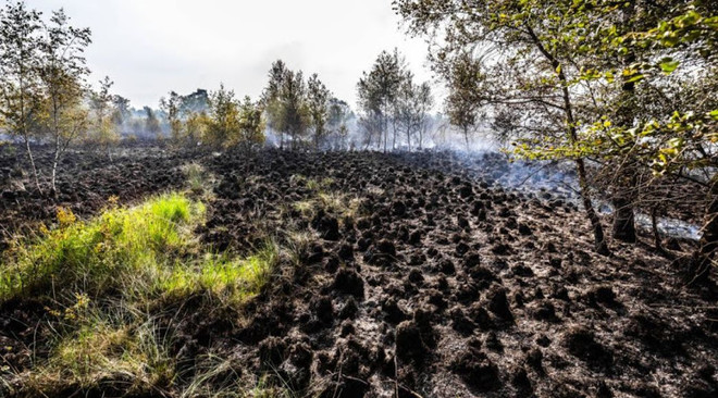 Cháy lớn tại khu dự trữ sinh quyển tại miền Nam Hà Lan ảnh 1