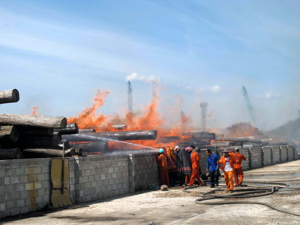 Cháy lớn tại khu vực tập kết gỗ súc trong cảng Quy Nhơn ảnh 1