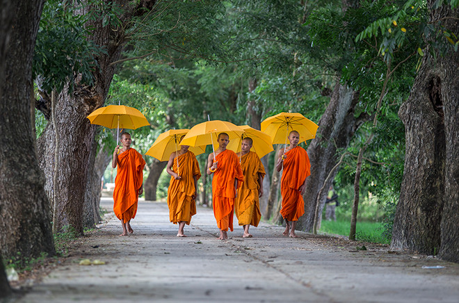 5 trải nghiệm thú vị khi ngao du miền Tây mùa nước nổi ảnh 17